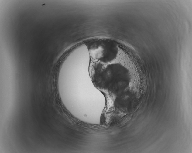 X0000115851255200911131119