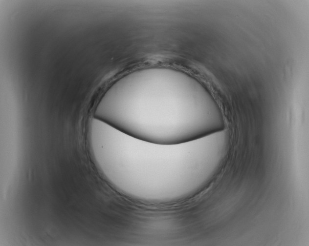 X0000115851261200911131119