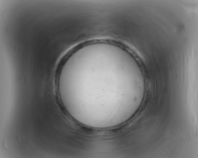 X0000115851262200911131119