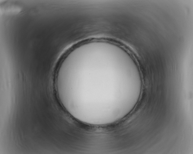 X0000115851263200911131119