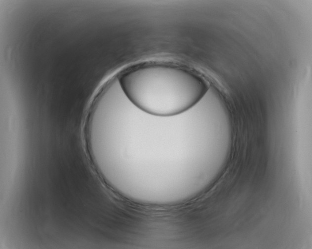 X0000115851264200911131119