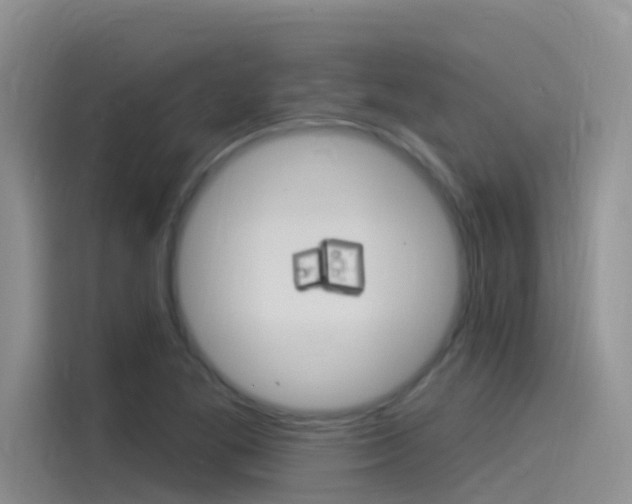 X0000115851269200911131119