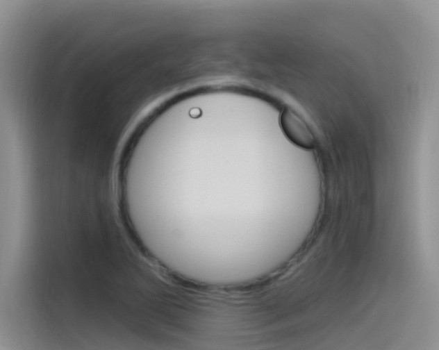X0000115851270200911131119