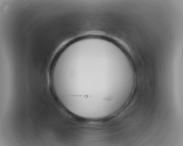 X0000115851271200911131119