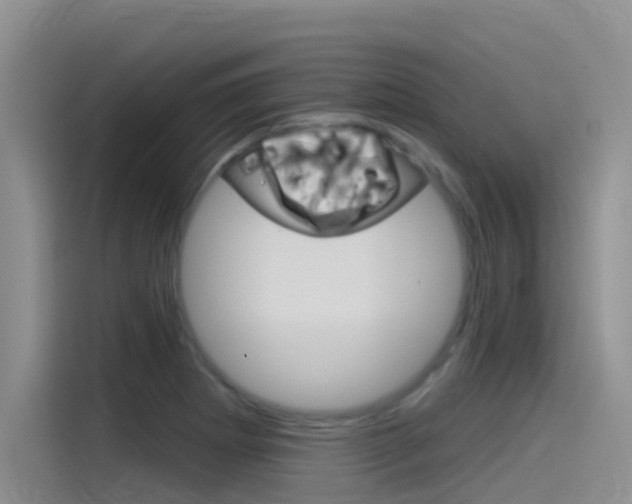 X0000115851273200911131119