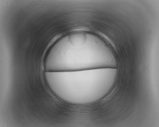 X0000115851274200911131119