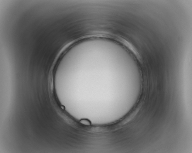X0000115851275200911131119