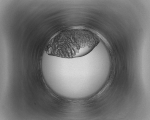 X0000115851281200911131119