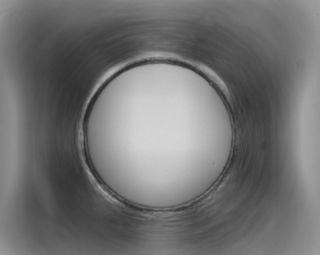 X0000115851287200911131119