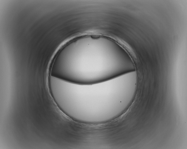 X0000115851288200911131119