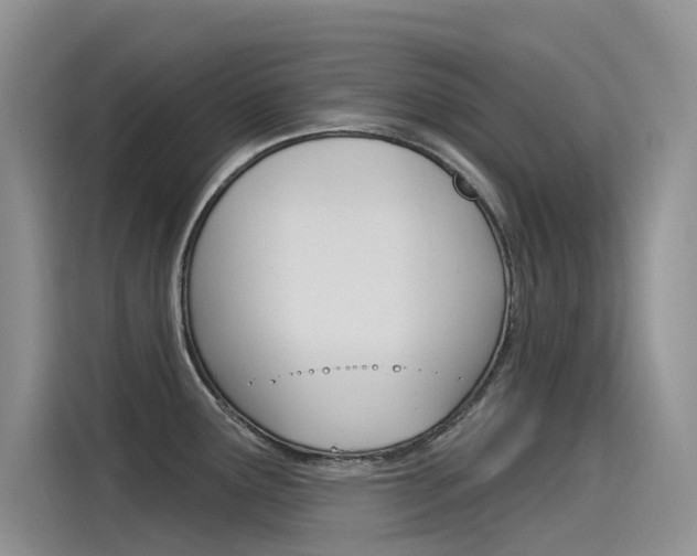 X0000115851291200911131119