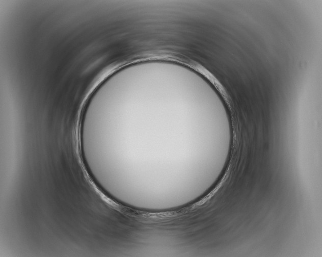 X0000115851294200911131119