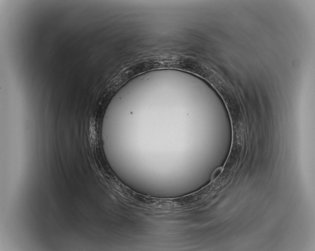 X0000115851298200911131118