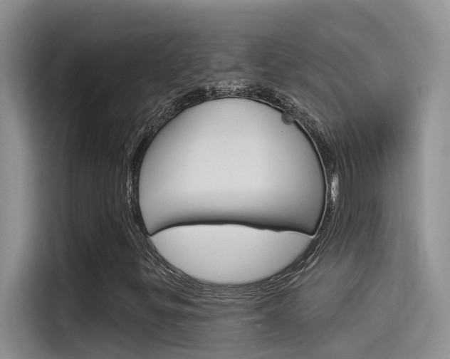 X0000115851299200911131118