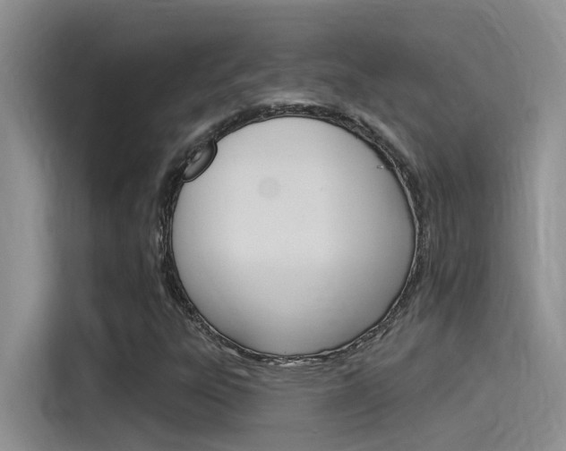X0000115851303200911131118