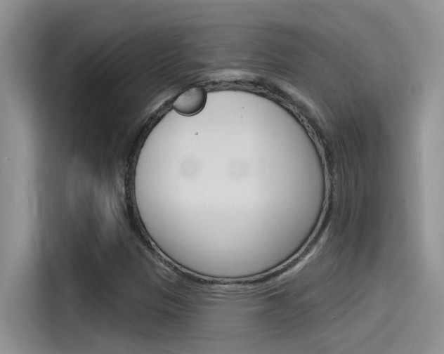 X0000115851305200911131118