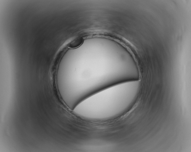 X0000115851309200911131118