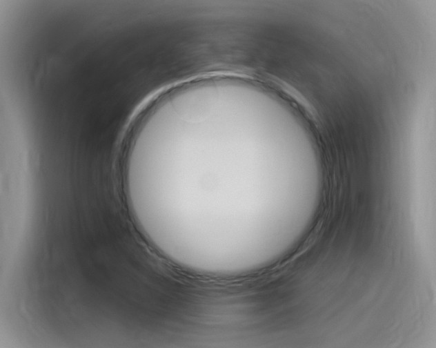 X0000115851310200911131118