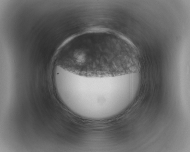 X0000115851315200911131118