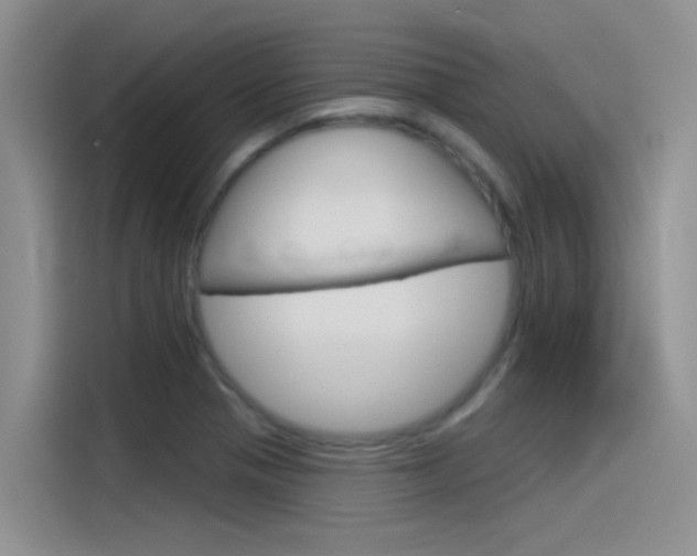 X0000115851321200911131118