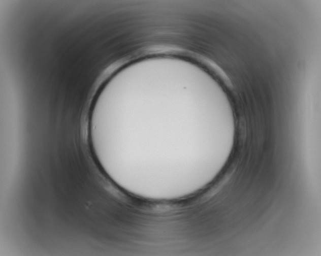 X0000115851322200911131118