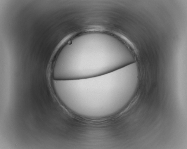 X0000115851325200911131118
