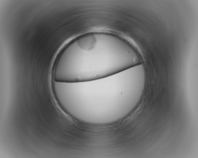 X0000115851331200911131118