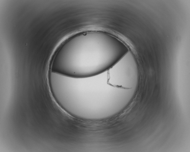 X0000115851334200911131119