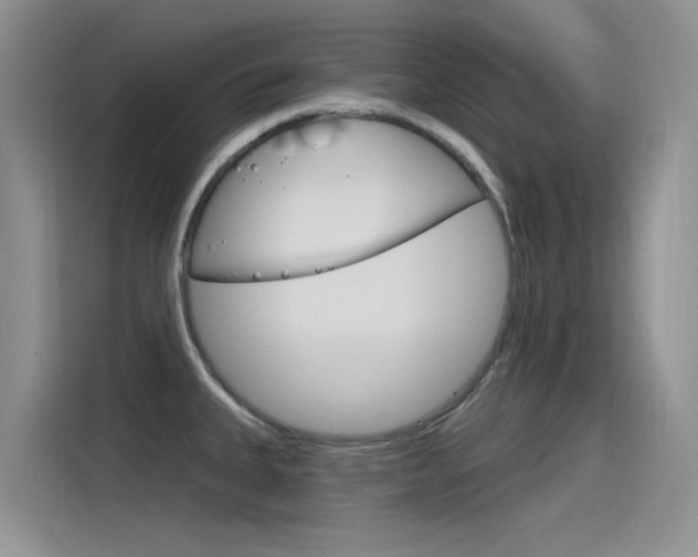 X0000115851335200911131119