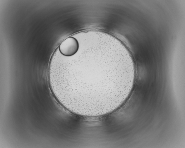 X0000115851338200911131119
