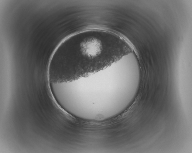 X0000115851339200911131119