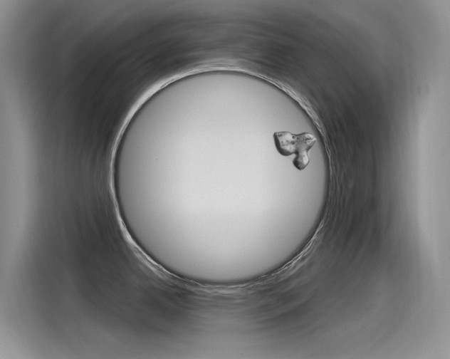 X0000115851342200911131119