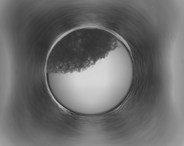 X0000115851343200911131119