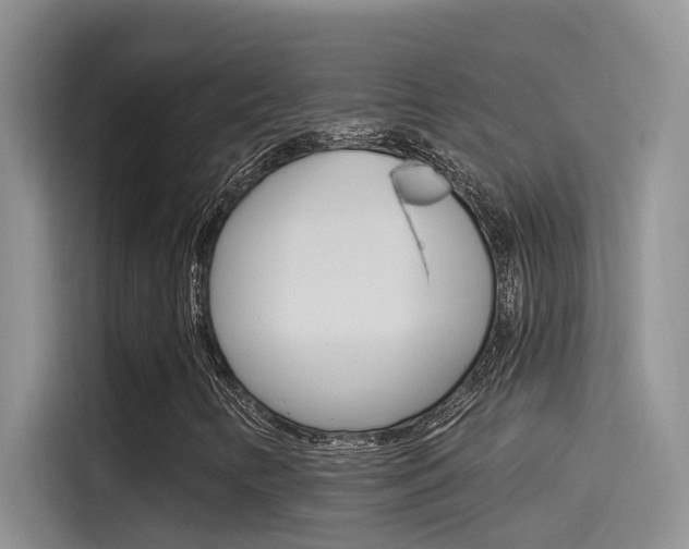 X0000115851346200911131118