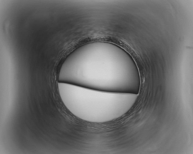 X0000115851348200911131118