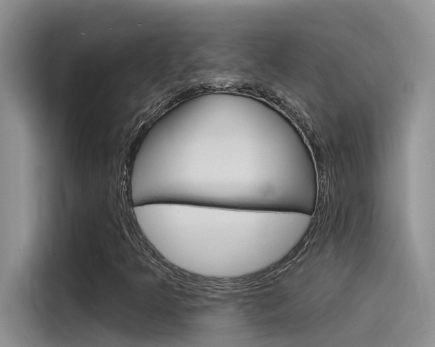 X0000115851349200911131118