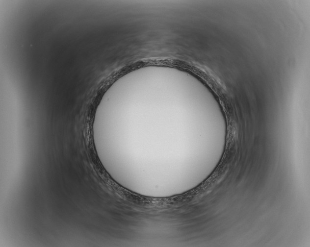 X0000115851350200911131118