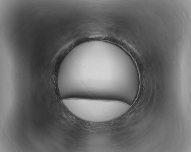 X0000115851351200911131118