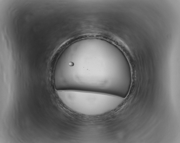 X0000115851352200911131118