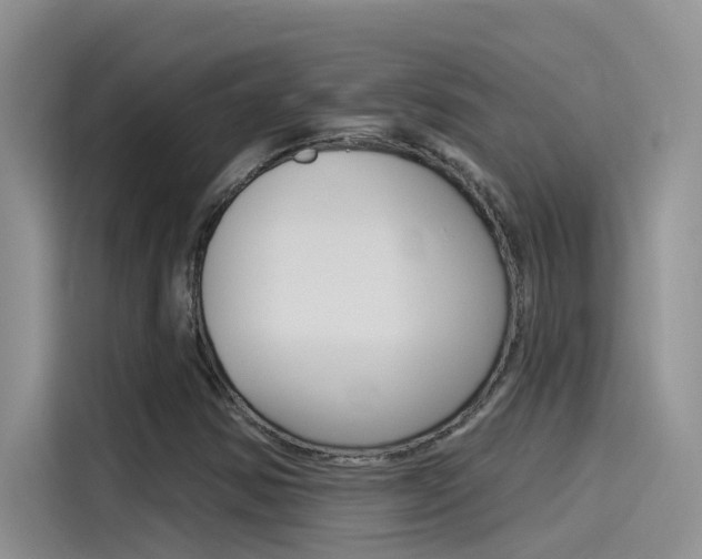 X0000115851354200911131118