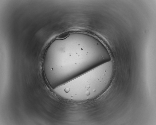 X0000115851355200911131118