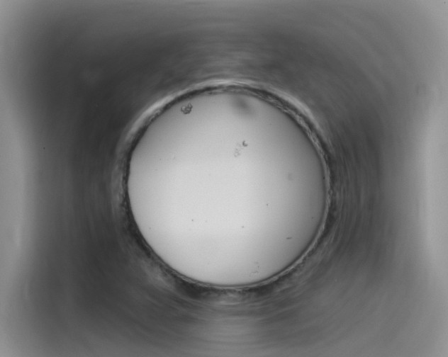 X0000115851359200911131118