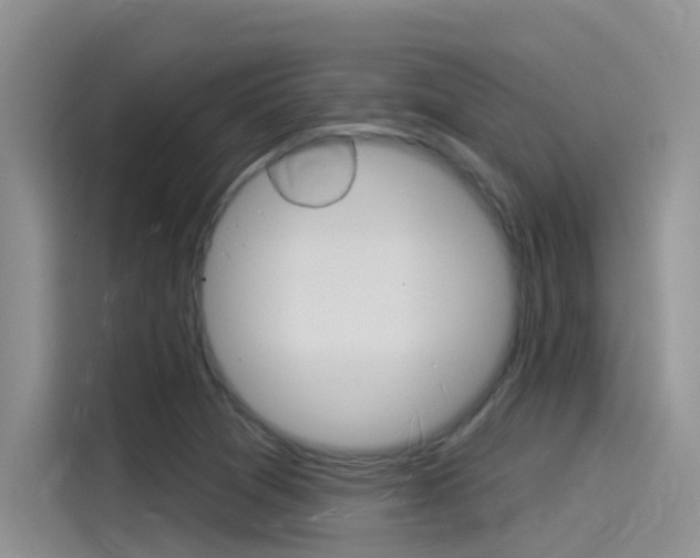 X0000115851361200911131118