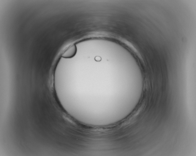 X0000115851366200911131118