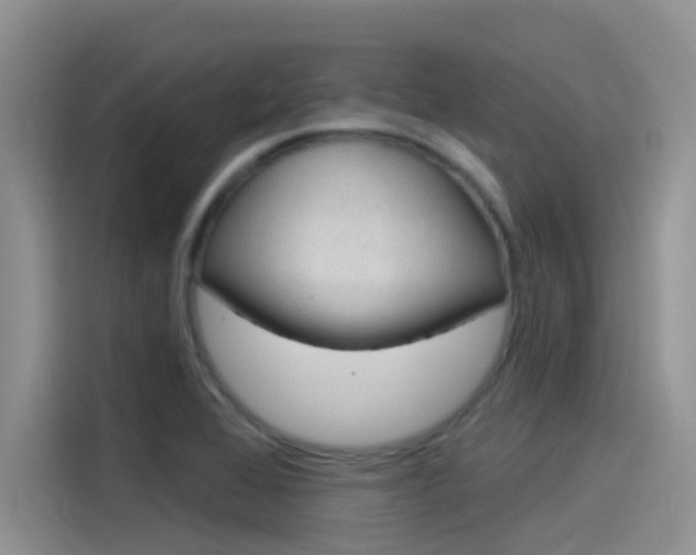 X0000115851368200911131118