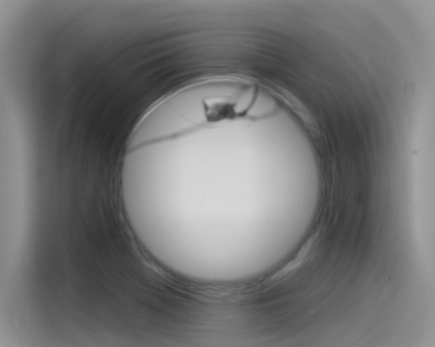 X0000115851369200911131118