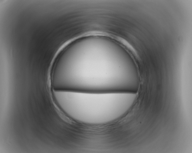 X0000115851372200911131118