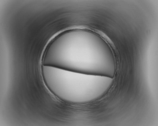 X0000115851380200911131118