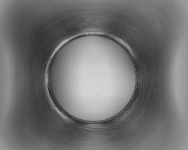 X0000115851383200911131118