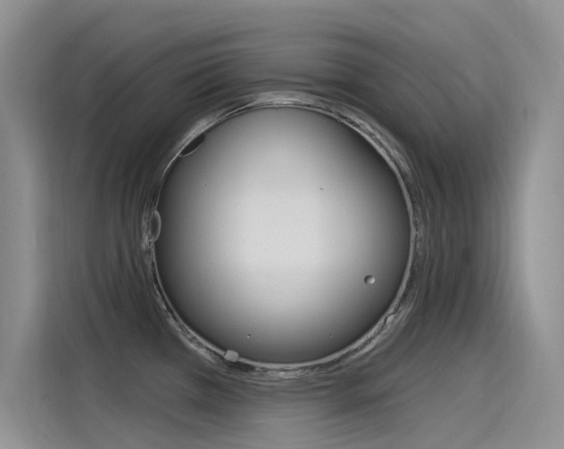 X0000115851385200911131118